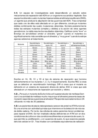 Serie-P4-2018-19-RESUELTA.pdf