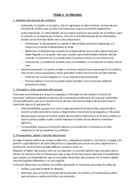 Tema 2 - El proceso.pdf