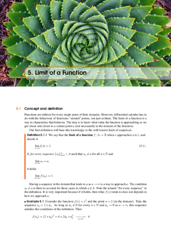 Calculo-I-ch05-Limit-of-a-Function.pdf