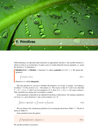 Calculo-I-ch09-Primitives.pdf
