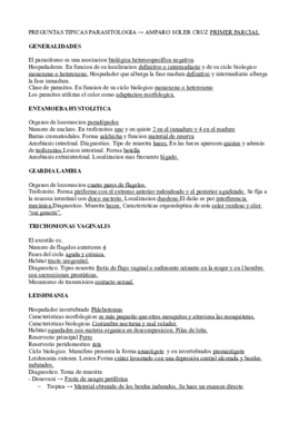 TODO AMPARO SOLER.pdf