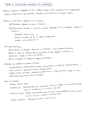ResumenBiomasa.pdf