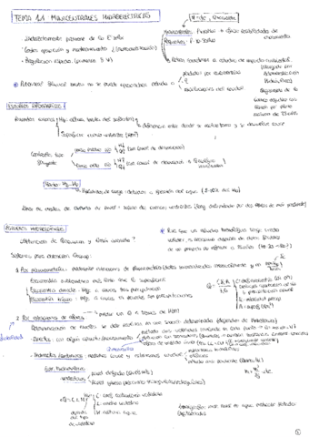 ResumenMinihidraulica.pdf