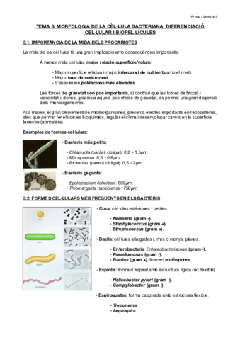 Apunts-Microbiologia-I-Tema-3.pdf