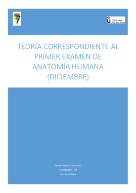 TEORÍA PRIMER EXAMEN (TODO JUNTO).pdf