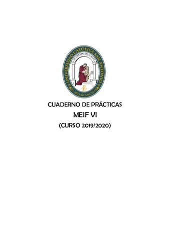 1-PRACTICO-MEIF-VI.pdf