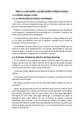 TEMA-6.pdf