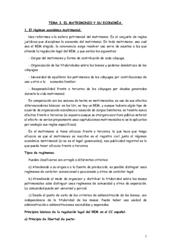 TEMA-3.pdf