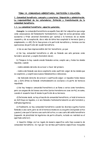 TEMA-14.pdf