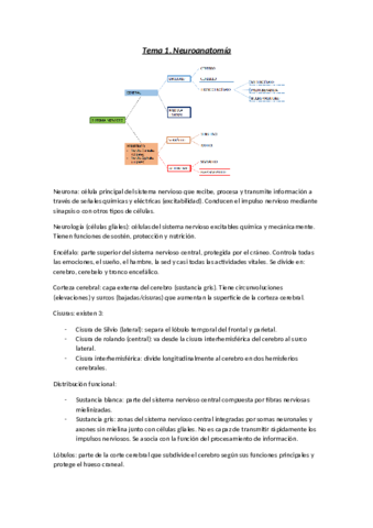 Tema-1.pdf