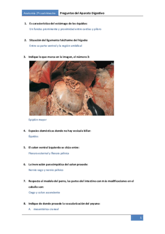 Preguntes-digestiu.pdf
