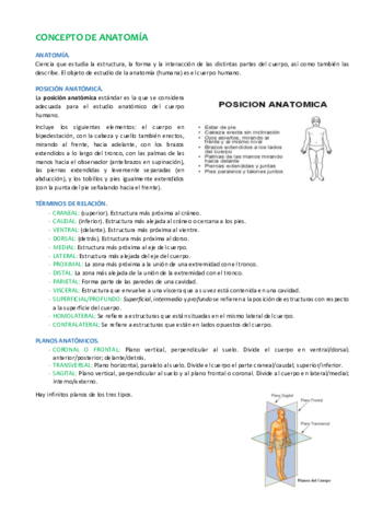 1-CONCEPTO DE ANATOMÍA.pdf