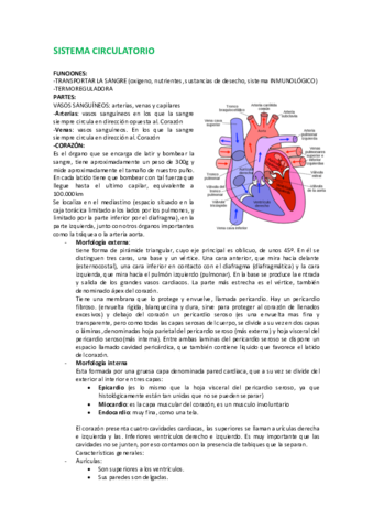 5-SISTEMA CIRCULATORIO.pdf
