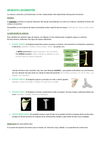 2-HUESOS Y MÚSCULOS.pdf
