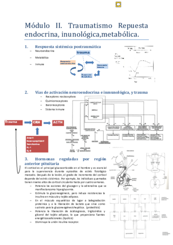TEMA-7.pdf
