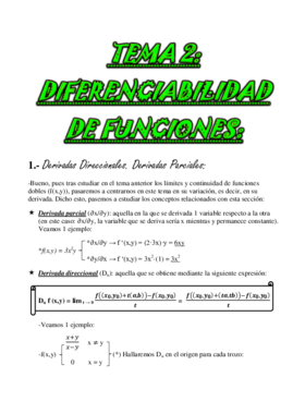 TEMA 2 Diferenciabilidad de Funciones Reales. .pdf