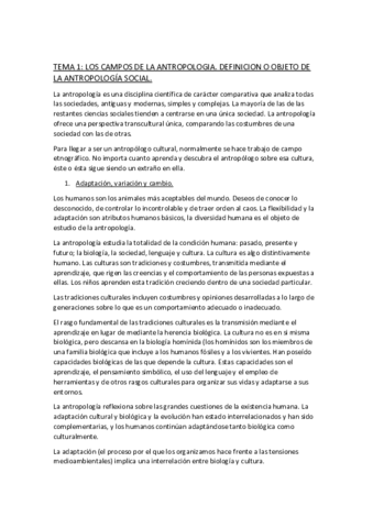 Antropologia-temas.pdf