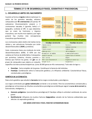 TEMA-2-y-3-primera-infancia.pdf