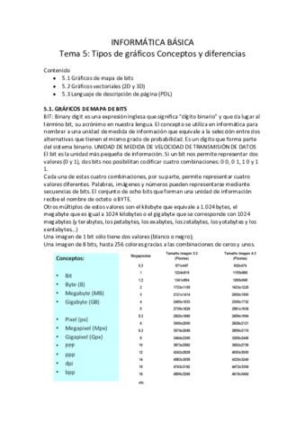 TEMA-5-IB.pdf