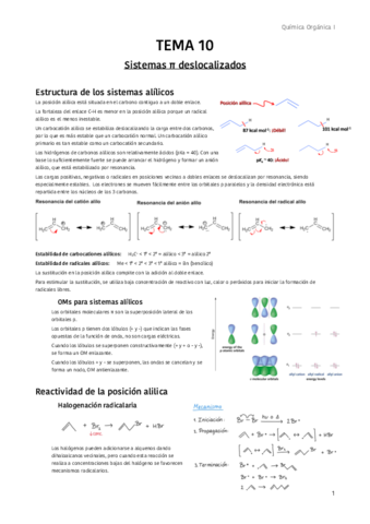 TEMA-10-Sistemas-p-deslocalizados.pdf