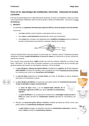 Tema-13-15-Orto-II.pdf
