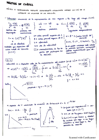 PRACTICAS-DE-CINETICA.pdf