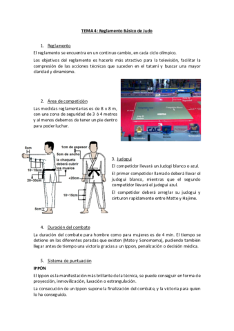 TEMA-4-judo.pdf