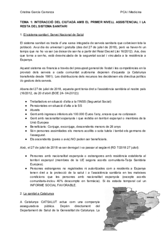 Apuntes-PCA.pdf