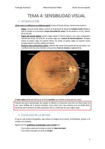 TEMA 4: FISIOLOGÍA DE LA VISIÓN