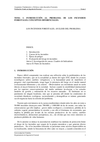 TEMA-01Introduccion-al-problema-de-los-incendios-forestalesConceptos-diferenciales.pdf