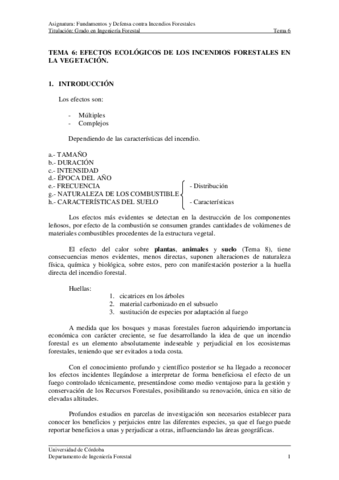 TEMA-06Efectos-ecologicos-de-los-incendios-forestales-en-la-vegetacion.pdf