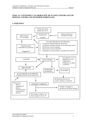 TEMA-31Contenido-y-elaboracion-de-planes-comarcales-de-defensa-contra-los-incendios-forestales-sin-analisis-multicriterio.pdf