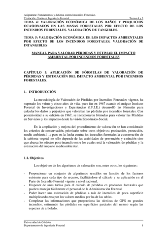 TEMAS-04-Y-05-Valoracion-socioeconomica-del-impacto-de-los-incendios-forestales.pdf