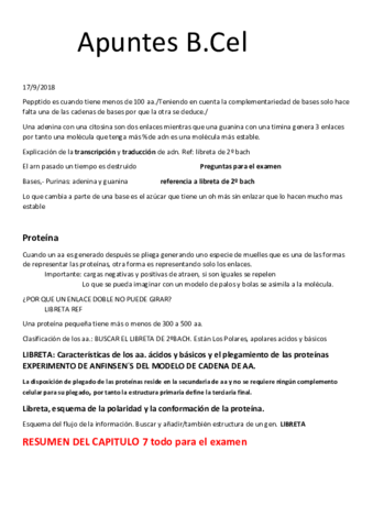 Apuntes-B.pdf