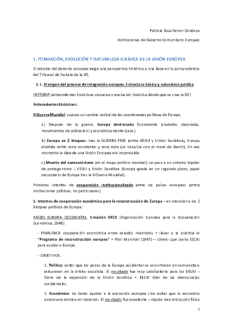 APUNTESCOMUNITARIO-1.pdf