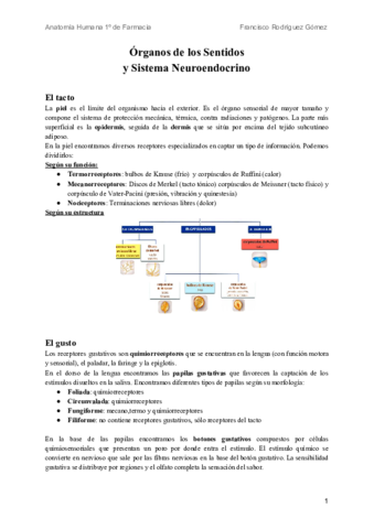 Sentidos-y-S.pdf
