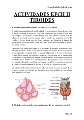ACTIVIDADES-EFCH-II-TIROIDES.pdf