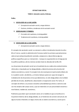 TEMA 3. ESTRUCTURA SOCIAL..pdf