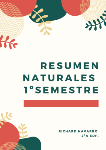 RESUMEN-1o-SEMESTRE-NATURALES.pdf
