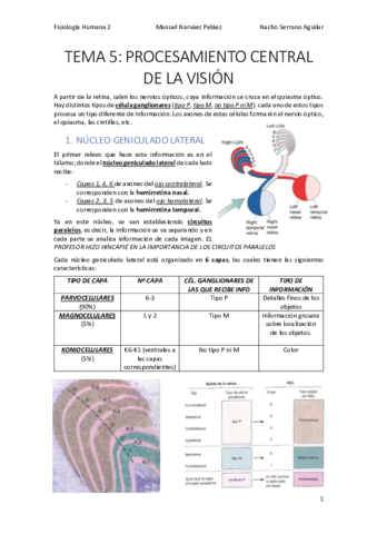 TEMA-5-PROCESAMIENTO-VISUAL.pdf