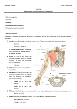 Anatomía. Tema 1..pdf