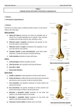 Anatomía. Tema 2..pdf