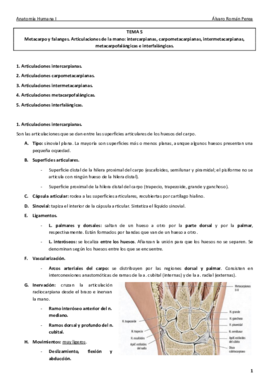 Anatomía. Tema 5..pdf