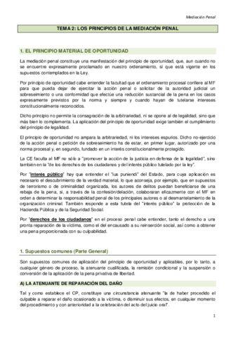 TEMA-2.pdf