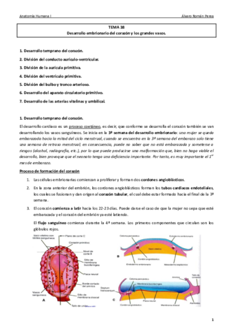 Anatomía. Tema 38..pdf
