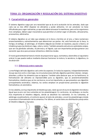 TEMA-13-Fisiologia.pdf