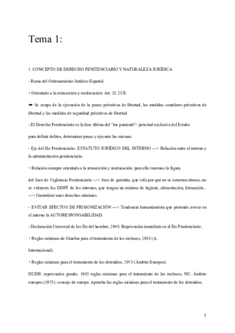 Derecho-Penitenciario.pdf