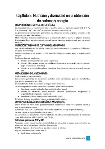 Capitulo-5.pdf