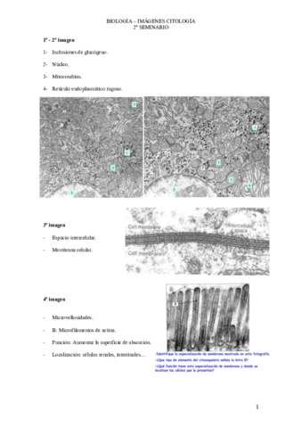 2o-SEMINARIO-BIOLOGIA-.pdf