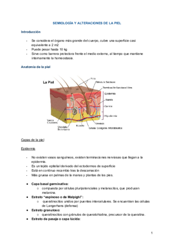 SEMIOLOGIA-Y-ALTERACIONES-DE-LA-PIEL-1.pdf